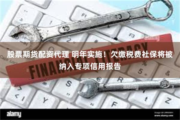 股票期货配资代理 明年实施！欠缴税费社保将被纳入专项信用报告