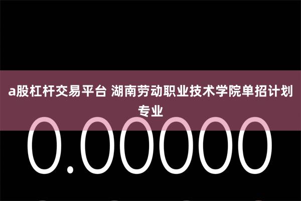 a股杠杆交易平台 湖南劳动职业技术学院单招计划专业