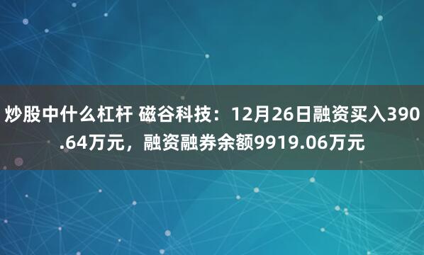 炒股中什么杠杆 磁谷科技：12月26日融资买入390.64万元，融资融券余额9919.06万元