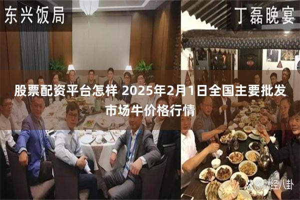 股票配资平台怎样 2025年2月1日全国主要批发市场牛价格行情