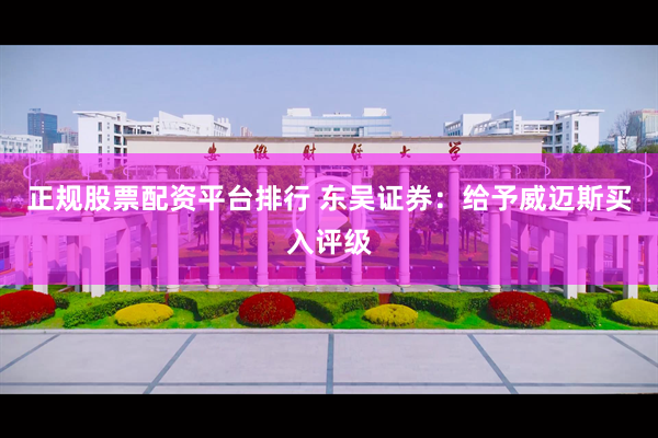 正规股票配资平台排行 东吴证券：给予威迈斯买入评级